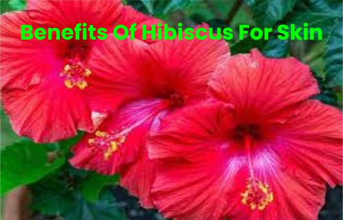 Benefits Of Hibiscus For Skin