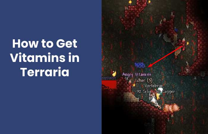 How to Get Vitamins in Terraria