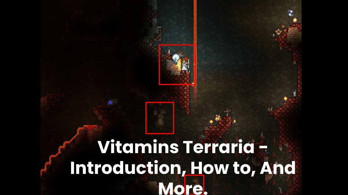 Vitamins Terraria – Introduction, How to, And More.