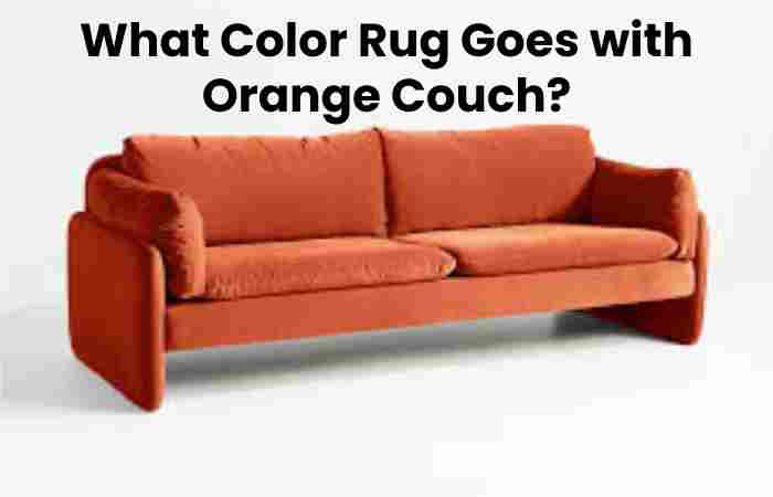 What Color Rug Goes with Orange Couch?